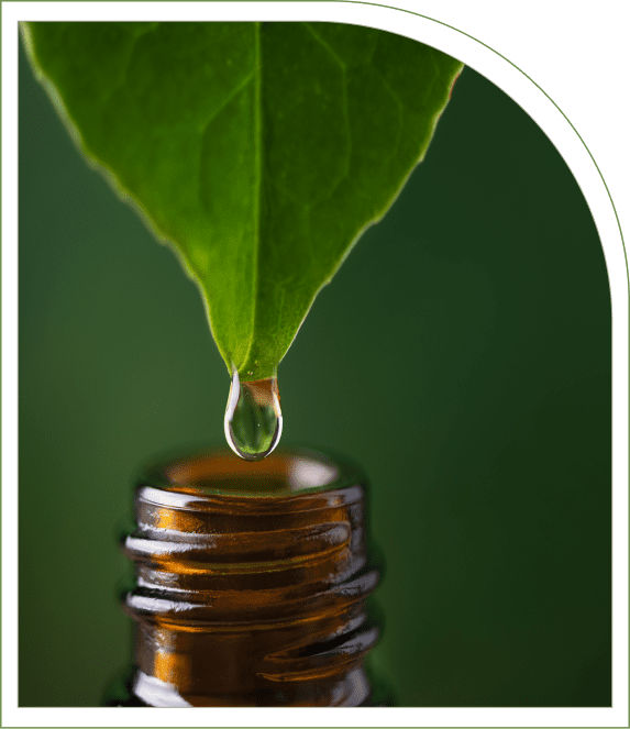 Close-up of a leaf with a water droplet falling into a brown glass bottle against a green background.